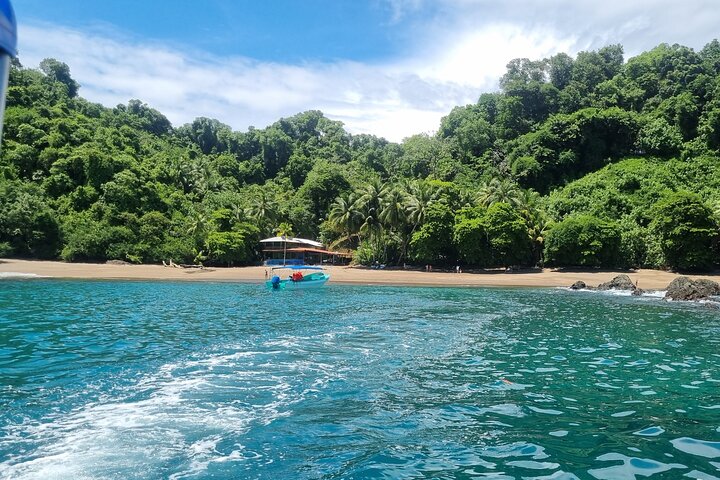 Snorkel tour Canyon island Drake Bay with Lunch