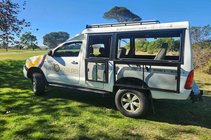 Addo Elephant National Park All Inclusive Full-Day Safari