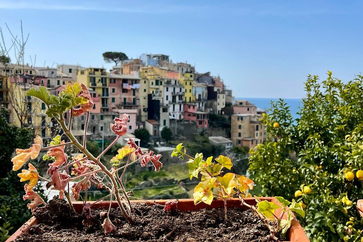 Cinque Terre private experience