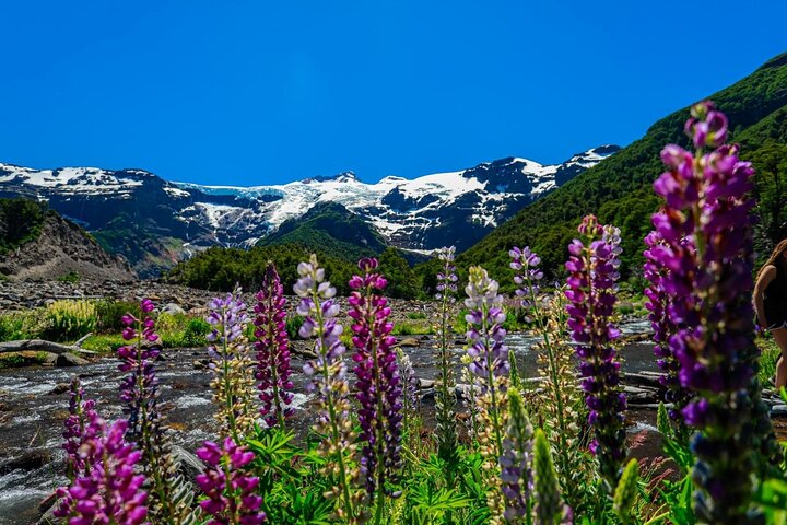 Full Day Cerro Tronador: Eternal Snow and Hanging Glaciers