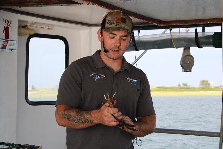 Lobstering Eco Tour