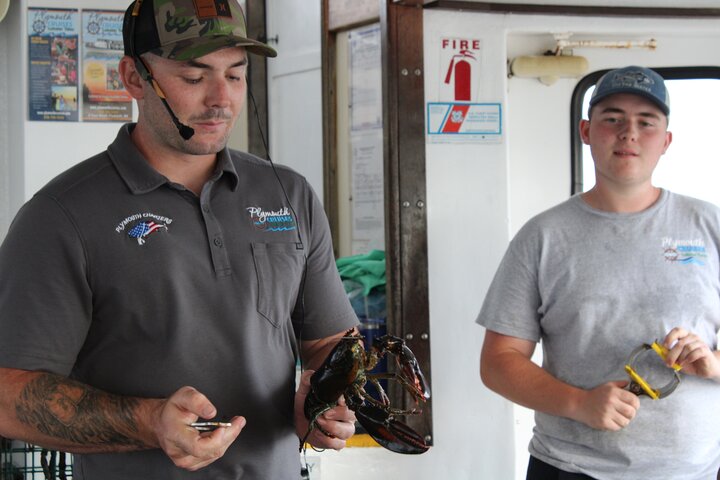 Lobstering Eco Tour