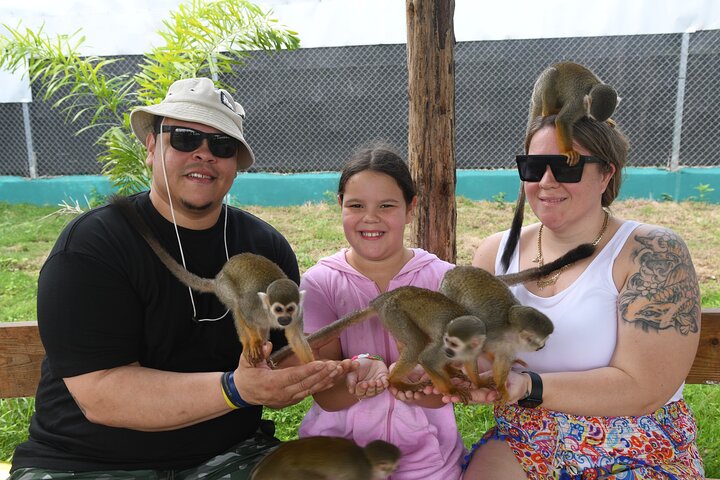 Monkey Home Tour and Damajagua waterfalls in Puerto Plata.