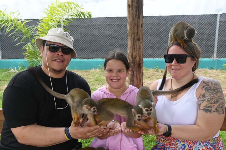 Monkey Home Tour and Damajagua waterfalls in Puerto Plata.