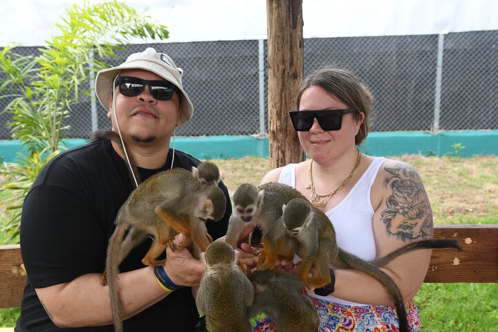 Monkey Home Tour and Damajagua waterfalls in Puerto Plata.
