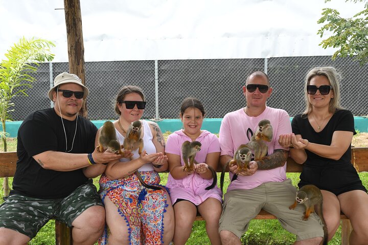 Monkey Home Tour and Damajagua waterfalls in Puerto Plata.