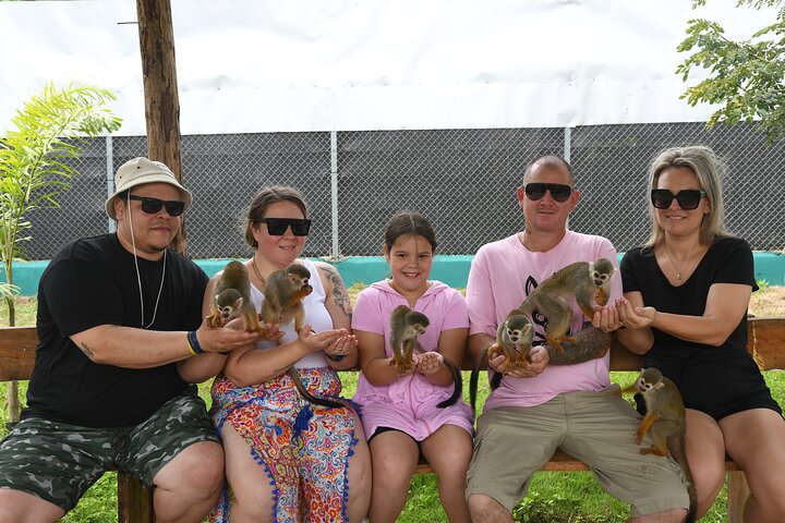 Monkey Home Tour and Damajagua waterfalls in Puerto Plata.