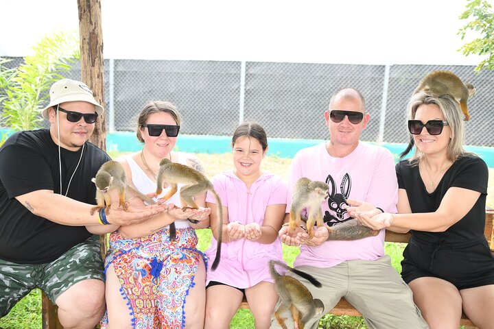 Monkey Home Tour and Damajagua waterfalls in Puerto Plata.