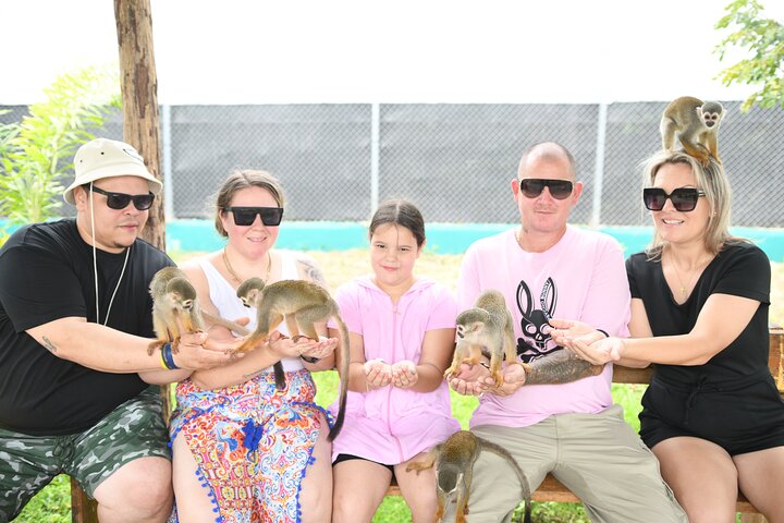 Monkey Home Tour and Damajagua waterfalls in Puerto Plata.