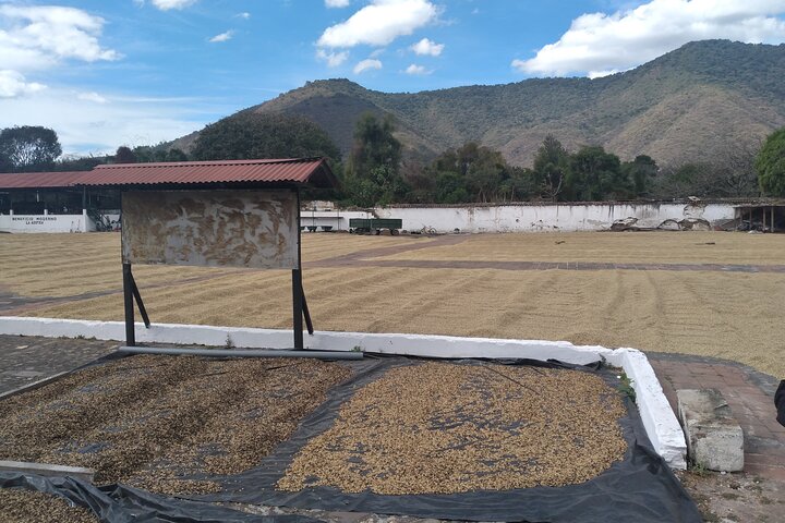 Antigua Coffee and Chocolate experience from Quetzal Port