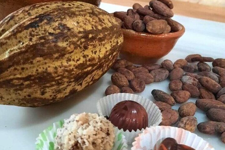 Antigua Coffee and Chocolate experience from Quetzal Port