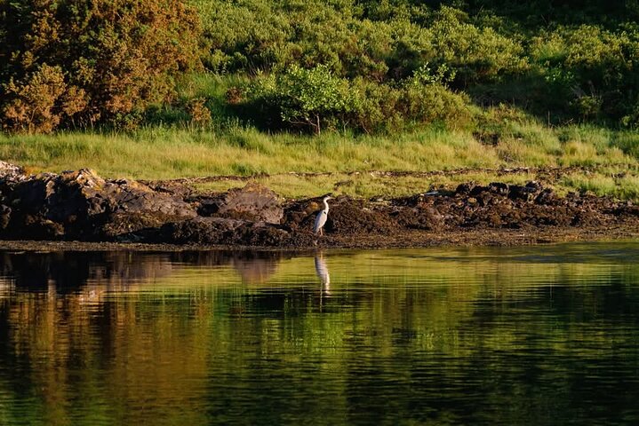 Fort William Evening Cruise