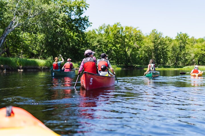Mersey River Quickie Adventure - 2 Hours