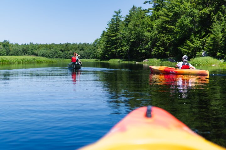 Mersey River Quickie Adventure - 2 Hours