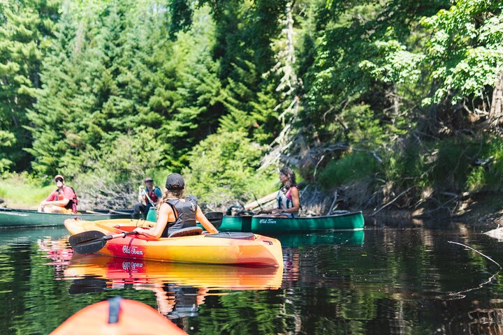 Mersey River Quickie Adventure - 2 Hours