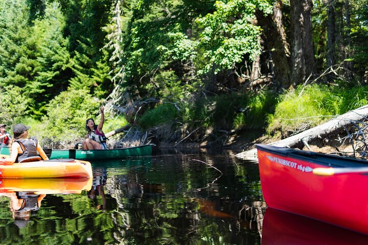 Mersey River Quickie Adventure - 2 Hours