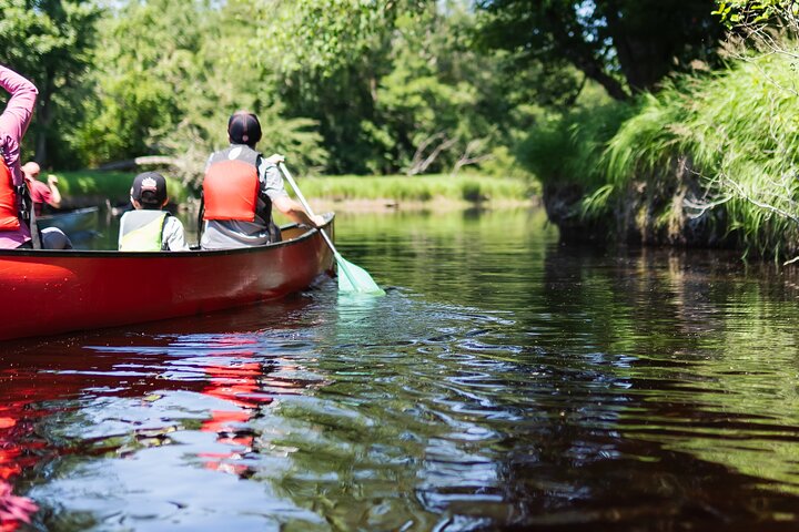 Mersey River Quickie Adventure - 2 Hours