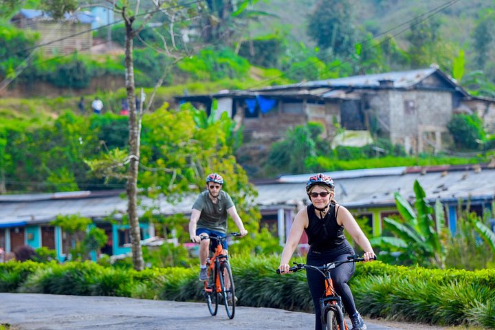 Tea Loops E-Biking