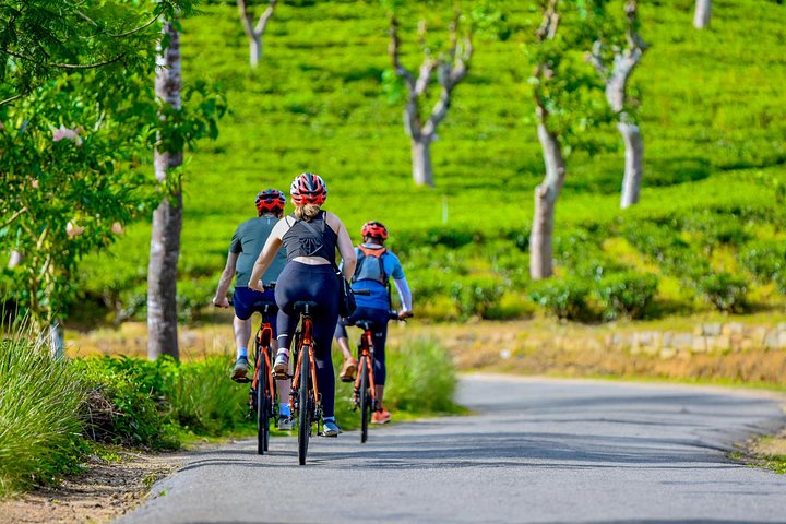 Tea Loops E-Biking