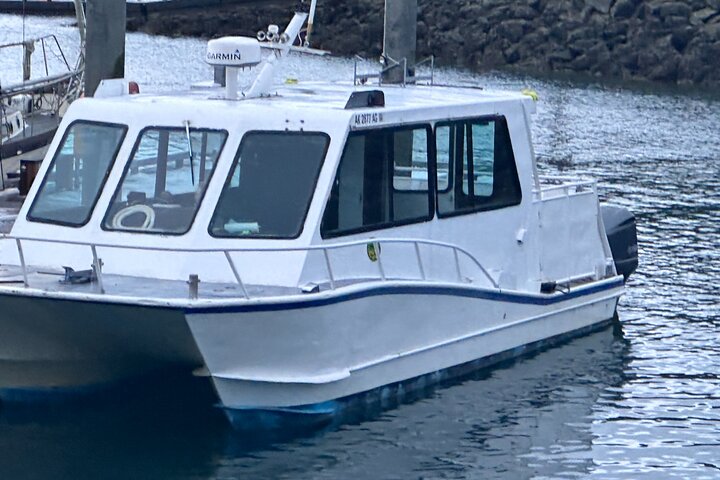 "Catch of the day" Whale-watching, Icy strait point, Hoonah