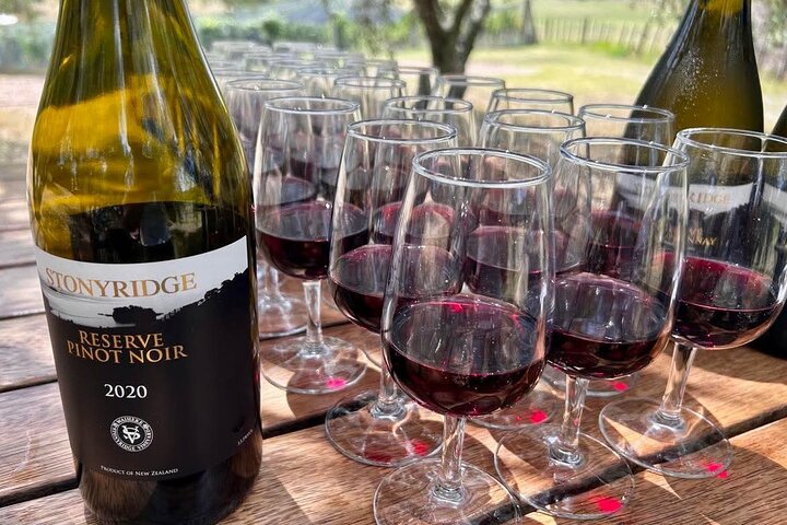 Auckland: Waiheke Island Seafront Lunch & Premium Wine Tour