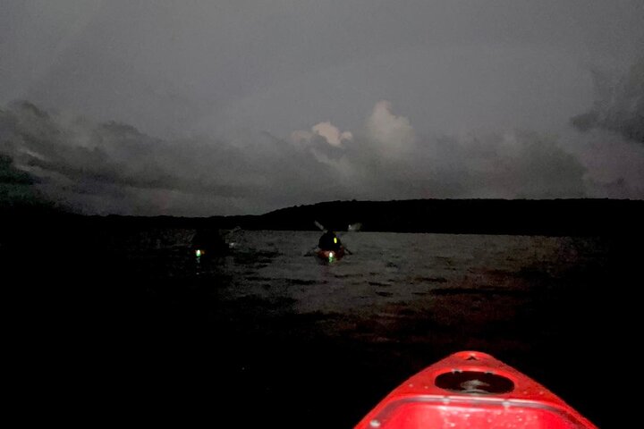 Unforgettable One Day Bioluminescent Kayak Adventure in Vieques