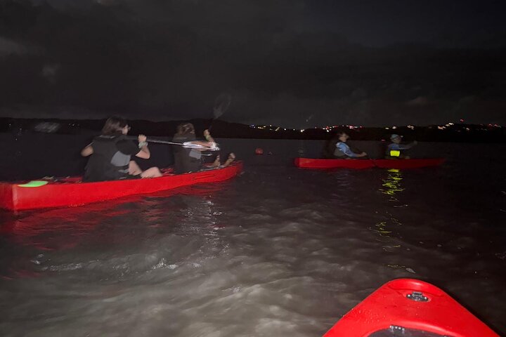 Unforgettable One Day Bioluminescent Kayak Adventure in Vieques