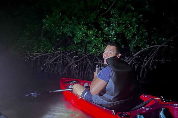 Unforgettable One Day Bioluminescent Kayak Adventure in Vieques