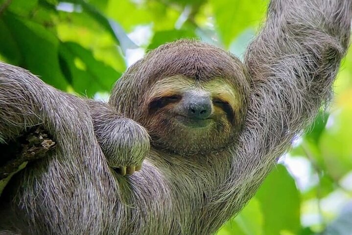 Manuel Antonio Park Guided Tour - Admission Ticket Included