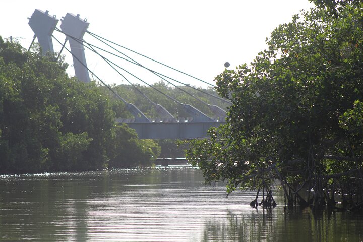River Lizards Boat Tour for Flora and Fauna Observation