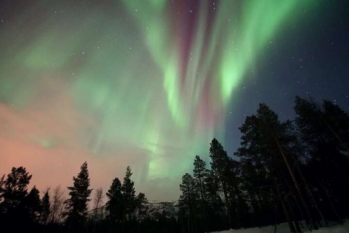 Northern Lights tour with Alta Adventure