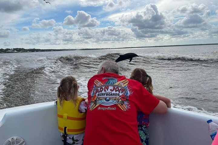 Dolphin Watching aboard the Cold Mil Fleet