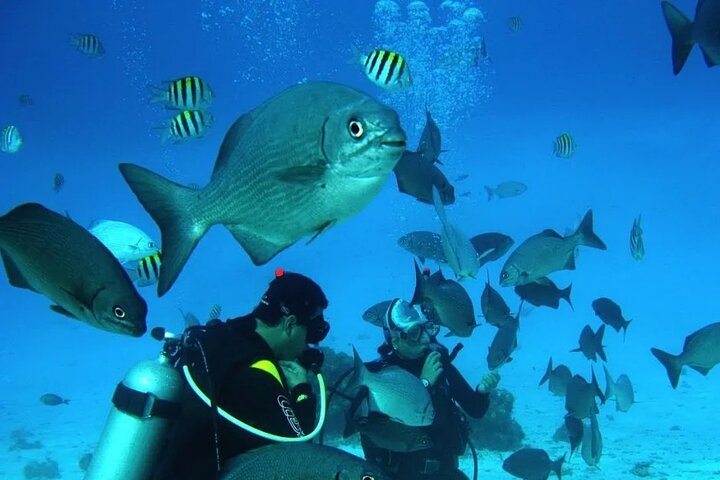 Diving for Beginners among Corals and Statues in San Andres