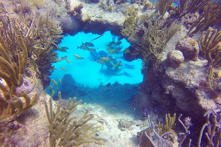 Diving for Beginners among Corals and Statues in San Andres