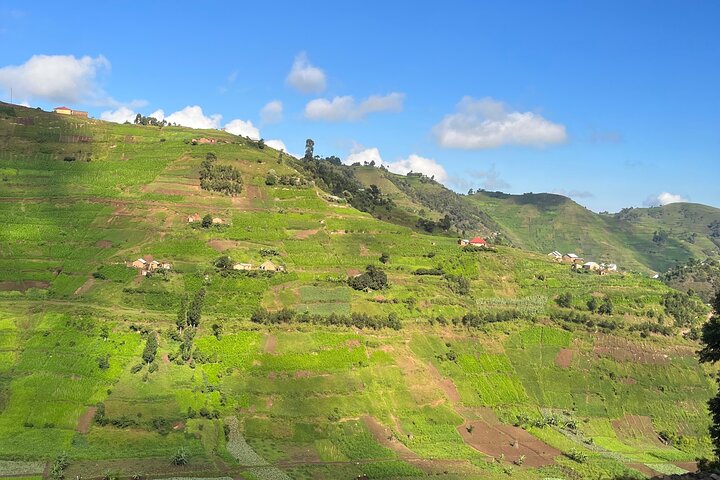 Kisoro Western Region Tour by Hiking