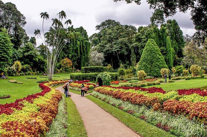 Kandy Day Tour from Galle