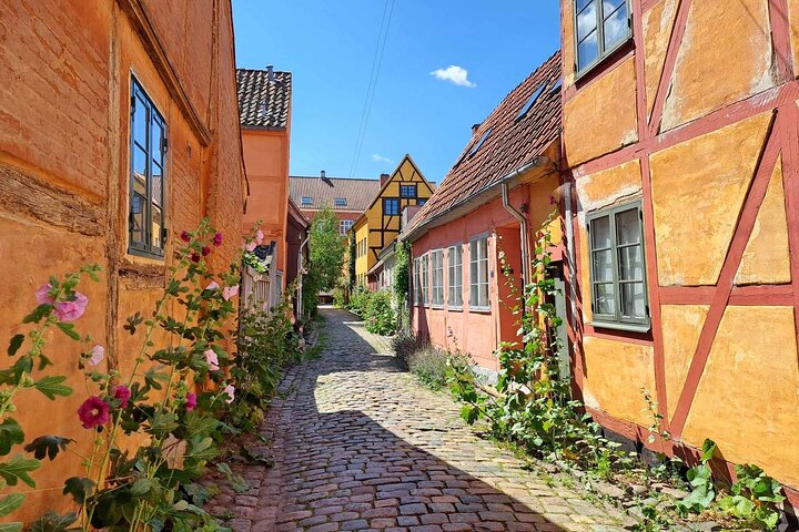 Half Day Exploration of Helsingør and Kronborg