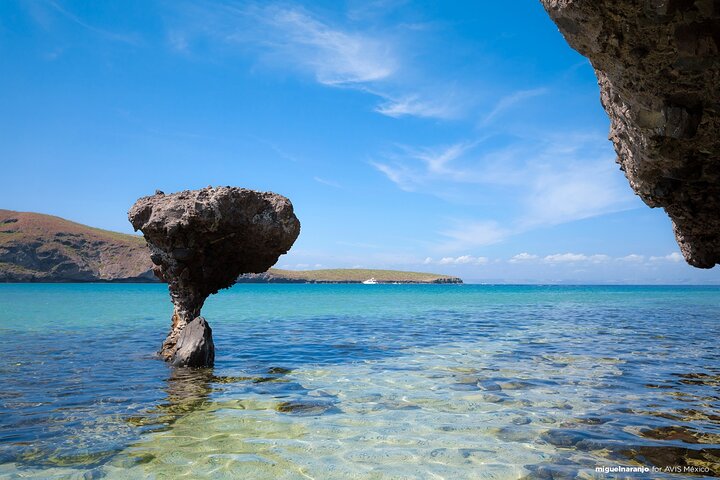 La Paz City Tour with Balandra Beach and Pueblo Magica Todos Santos