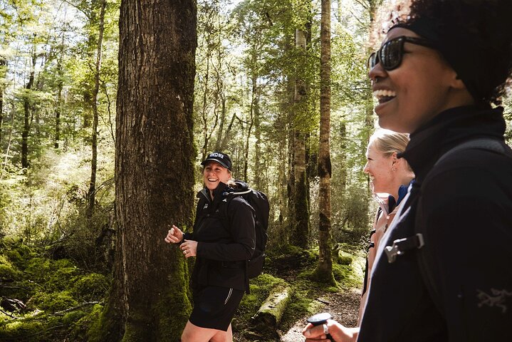 Award Winning Milford Sound Full Day Tour & Cruise from Te Anau