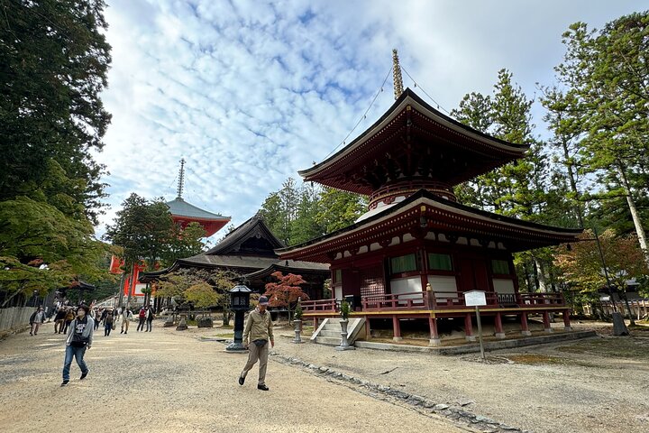 Koyasan: Half-Day Guided Tour - Okuno-in, Kongobuji & Danjo Garan