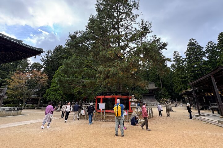 Koyasan: Half-Day Guided Tour - Okuno-in, Kongobuji & Danjo Garan