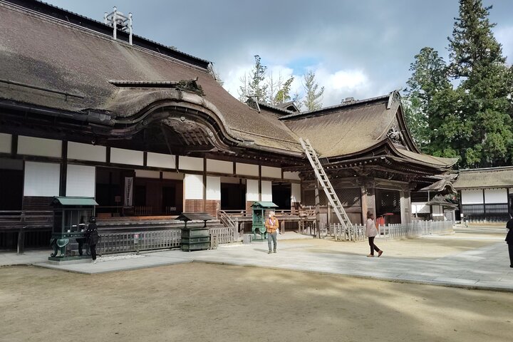 Koyasan: Half-Day Guided Tour - Okuno-in, Kongobuji & Danjo Garan
