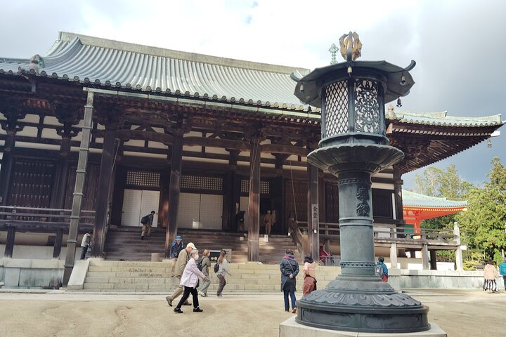 Koyasan: Half-Day Guided Tour - Okuno-in, Kongobuji & Danjo Garan