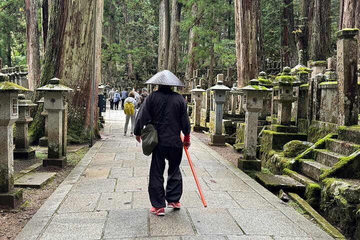 Koyasan: Half-Day Guided Tour - Okuno-in, Kongobuji & Danjo Garan
