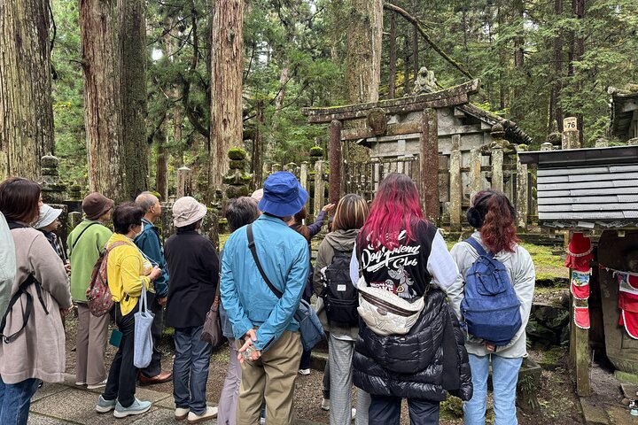 Koyasan: Half-Day Guided Tour - Okuno-in, Kongobuji & Danjo Garan