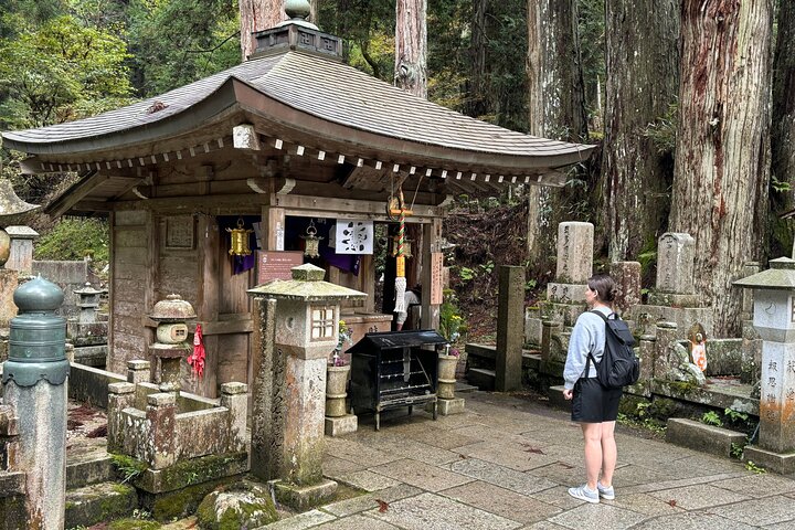 Koyasan: Half-Day Guided Tour - Okuno-in, Kongobuji & Danjo Garan