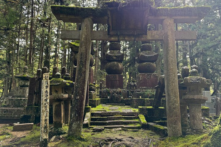 Koyasan: Half-Day Guided Tour - Okuno-in, Kongobuji & Danjo Garan