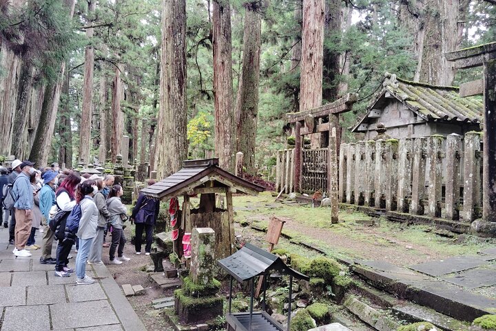 Koyasan: Half-Day Guided Tour - Okuno-in, Kongobuji & Danjo Garan