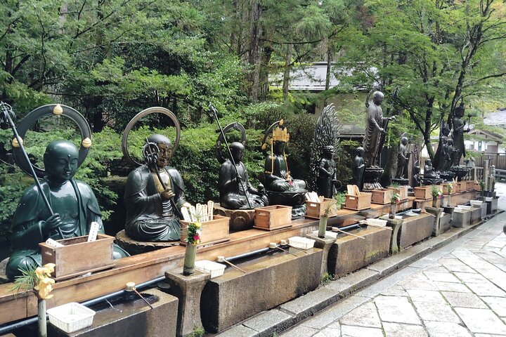 Koyasan: Half-Day Guided Tour - Okuno-in, Kongobuji & Danjo Garan