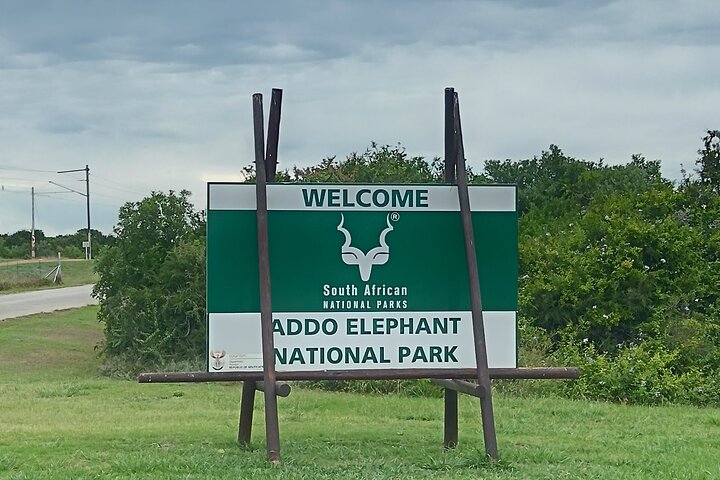 Port Elizabeth Half-Day Addo Elephant National Park Tour